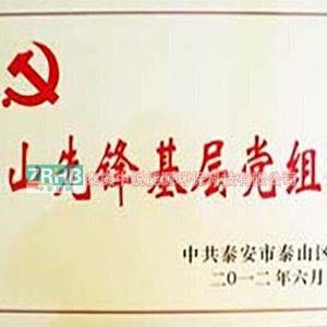 泰山先鋒基層黨組織